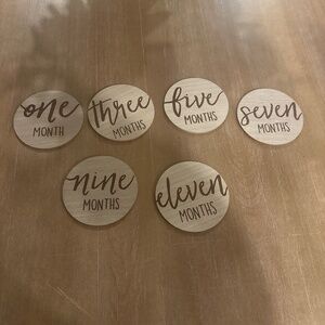 Baby’s 1st year milestone discs